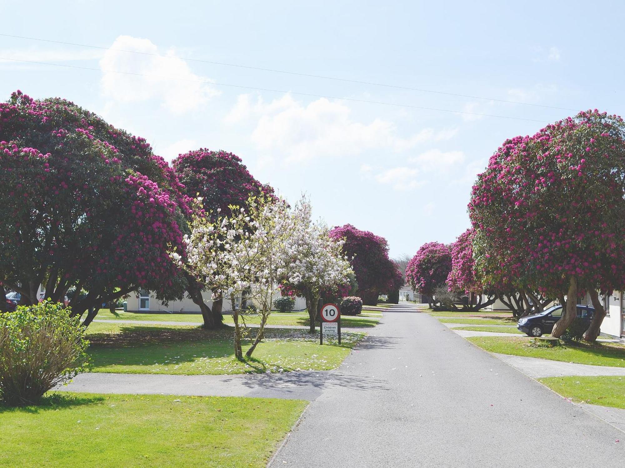 Eden - B6526 Villa Saint Cleer ภายนอก รูปภาพ